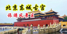 俺来也欧美性爱网中国北京-东城古宫旅游风景区